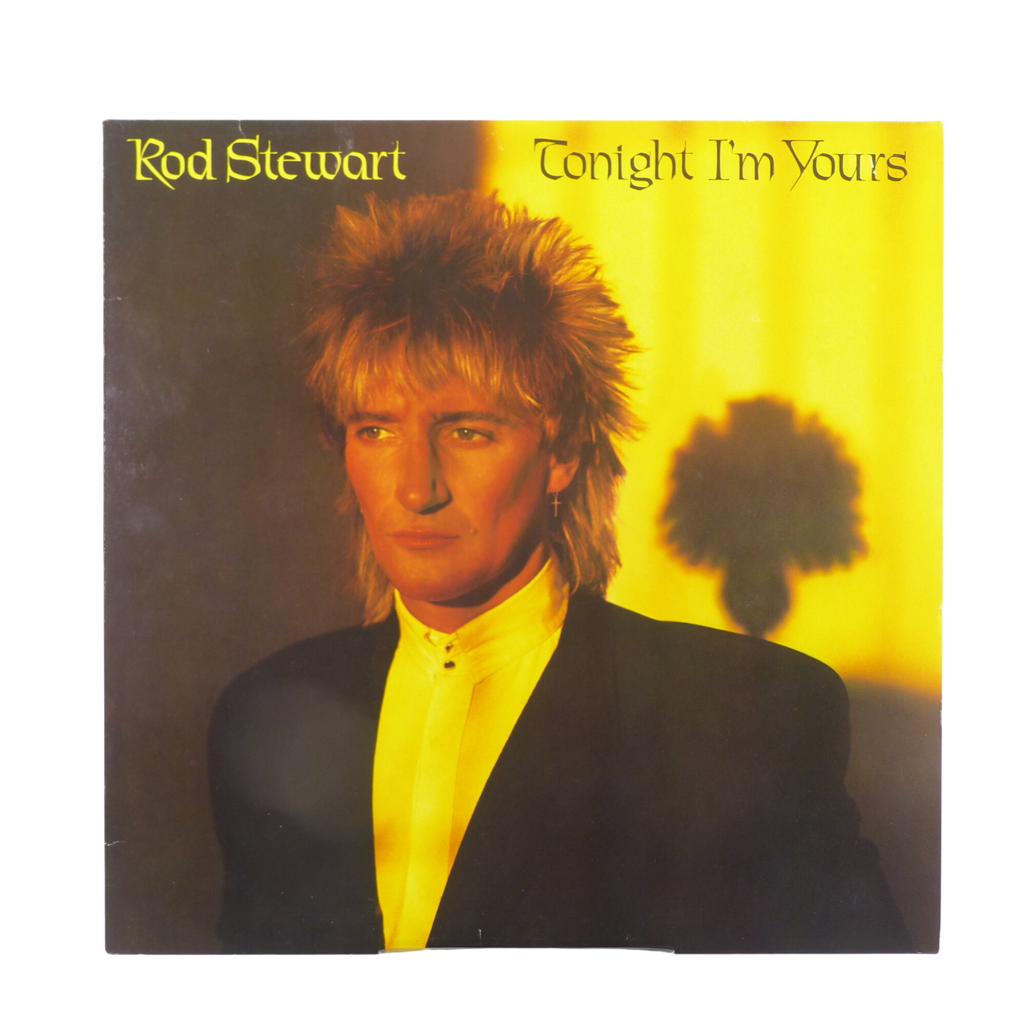 Vinyle 33T Rod Stewart ‎/ Tonight I'm Yours - Warner Bros. Records , 1981 Bon état -  reconditionné disponible sur Label Emmaüs